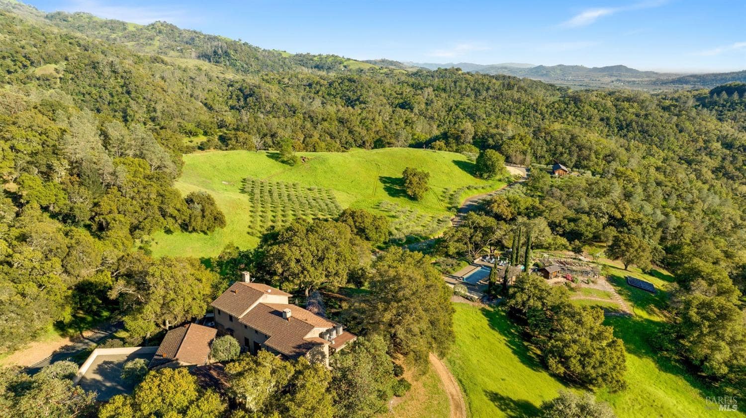 Open landscape view with green hills, a house, and olive trees.