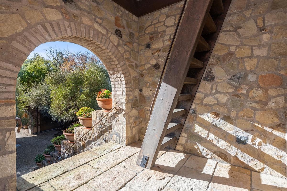 A stone staircase bordered by potted plants. An arched opening and a wooden ladder are also visible within a rustic stone structure.