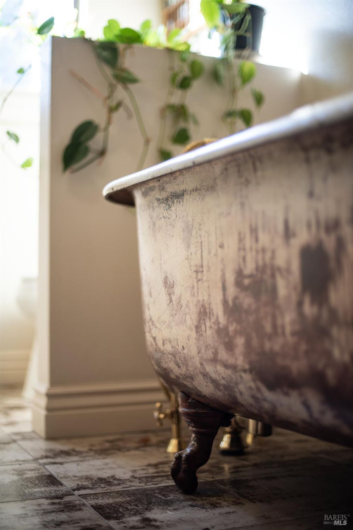 Close-up of a clawfoot bathtub with a weathered texture and surrounding greenery.