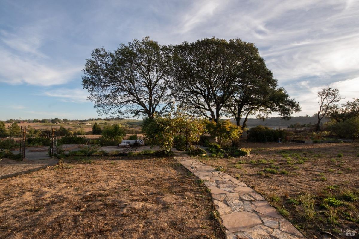 Stone pathway through a garden with large trees and open fields.