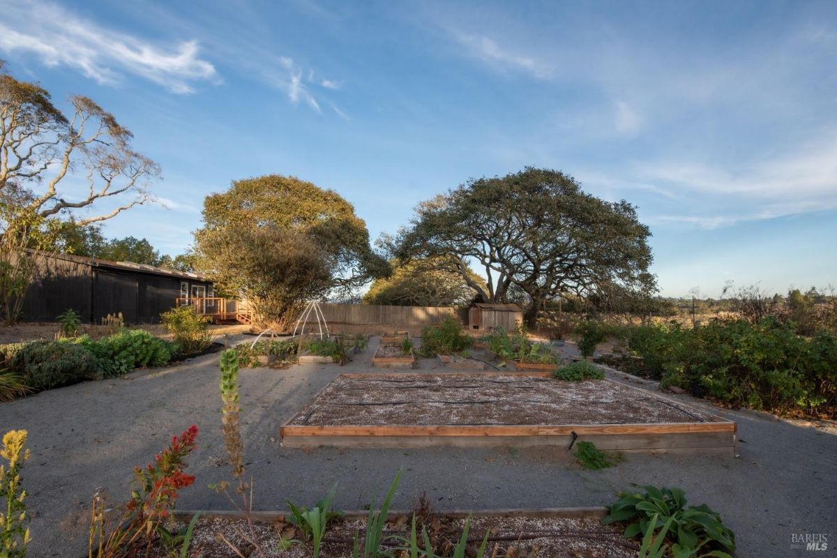 Raised garden beds with surrounding trees and open space under a blue sky.