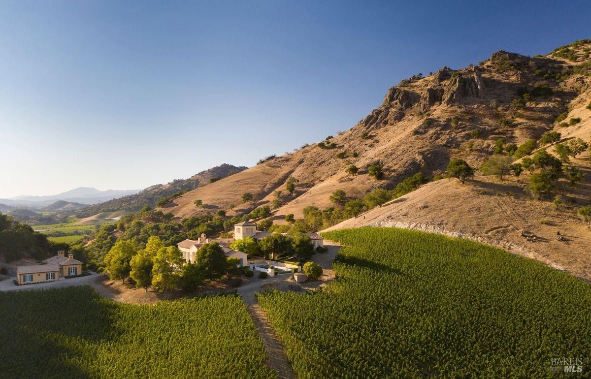 Aerial view of the vineyard and the house