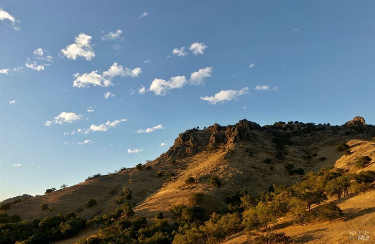 Hillside with sparse vegetation under a mostly clear blue sky