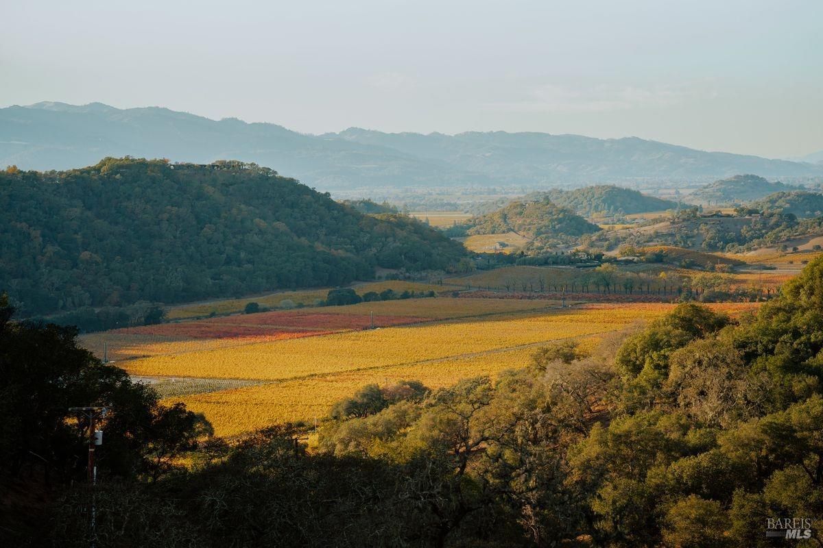 Scenic vista of a valley with vineyards and rolling hills