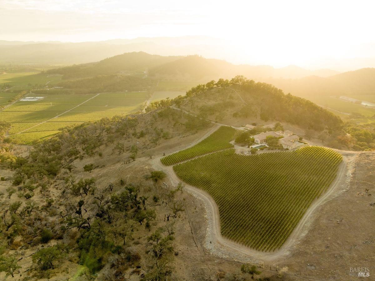 Aerial shot of the vineyard and the house situated on a hillside