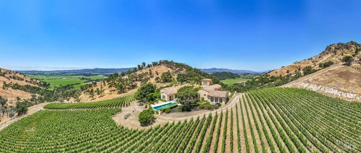 Aerial view of a vineyard and a house