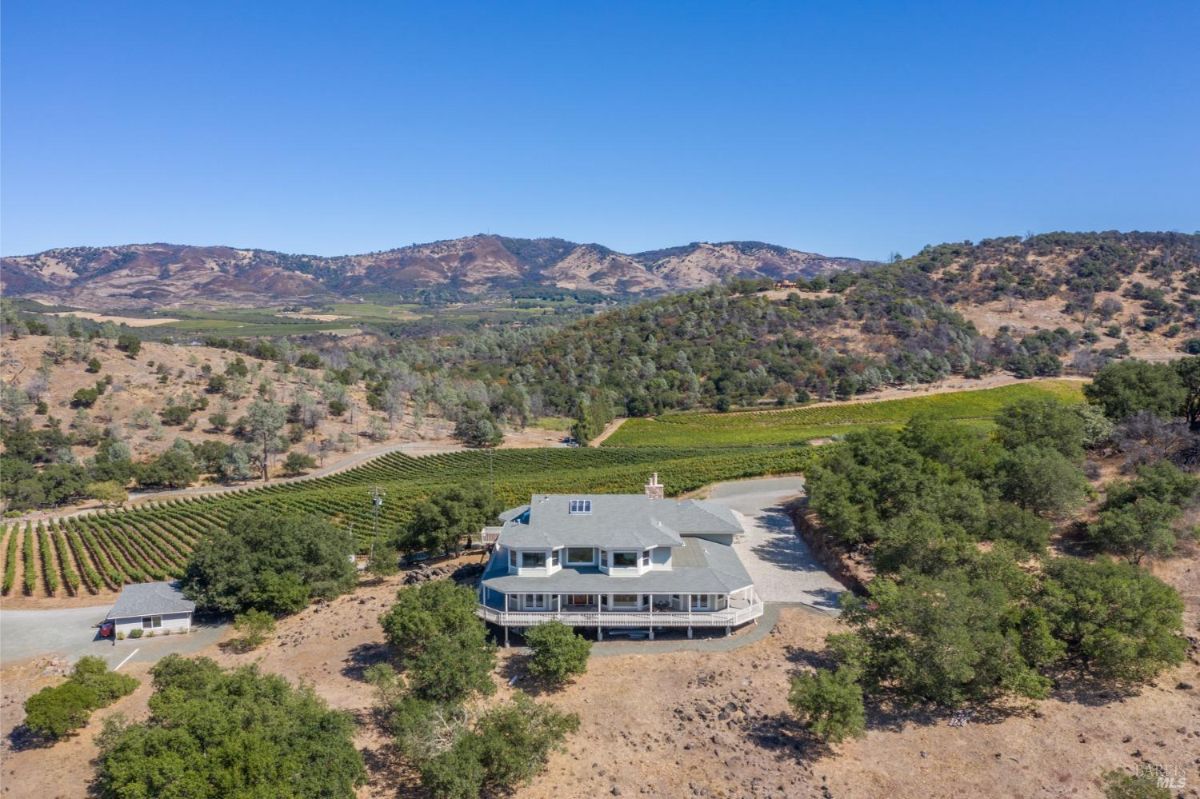 Aerial shot of the property with a vineyard and mountainous terrain.