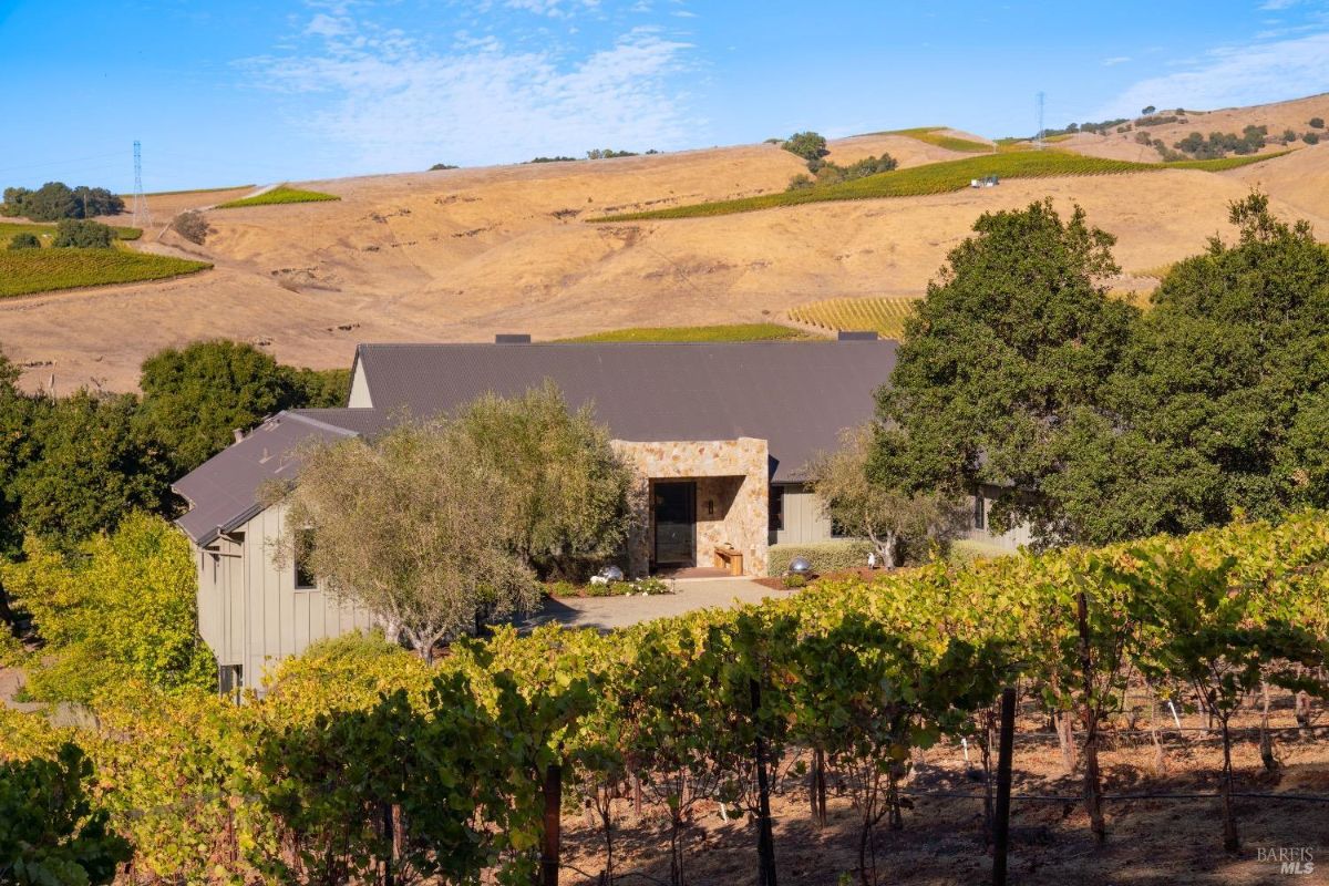 A house with a stone entrance is nestled among rows of grapevines and mature trees. Rolling golden hills with additional vineyards create a backdrop under a partially clouded blue sky.