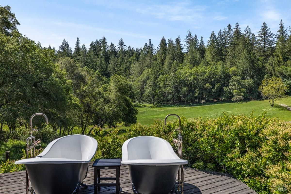 Two freestanding clawfoot tubs sit side-by-side on a deck, offering a serene view of a lush green meadow surrounded by towering trees.