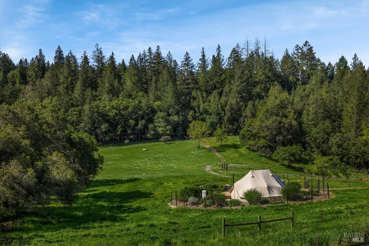 A luxurious glamping tent sits nestled amidst a lush green field, surrounded by towering trees and a picturesque landscape.