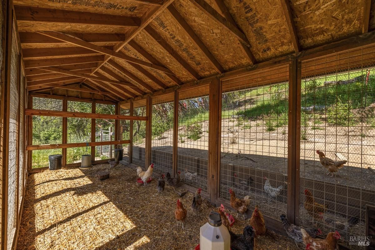 The interior of a chicken coop made of wood and wire mesh. The coop houses several chickens, with wood shavings on the ground and natural light streaming in, emphasizing a well-maintained farming space.