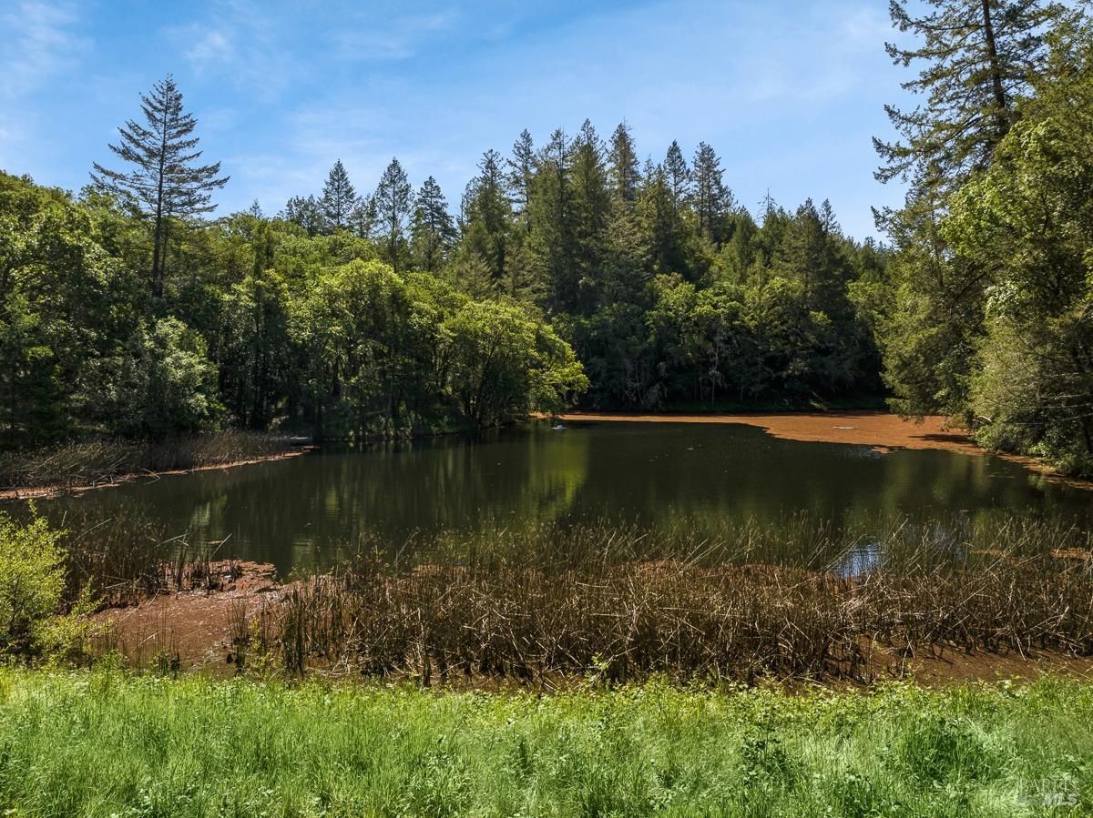 A serene lake surrounded by lush greenery and tall trees. The water appears still and reflective, with cattails lining the shore.