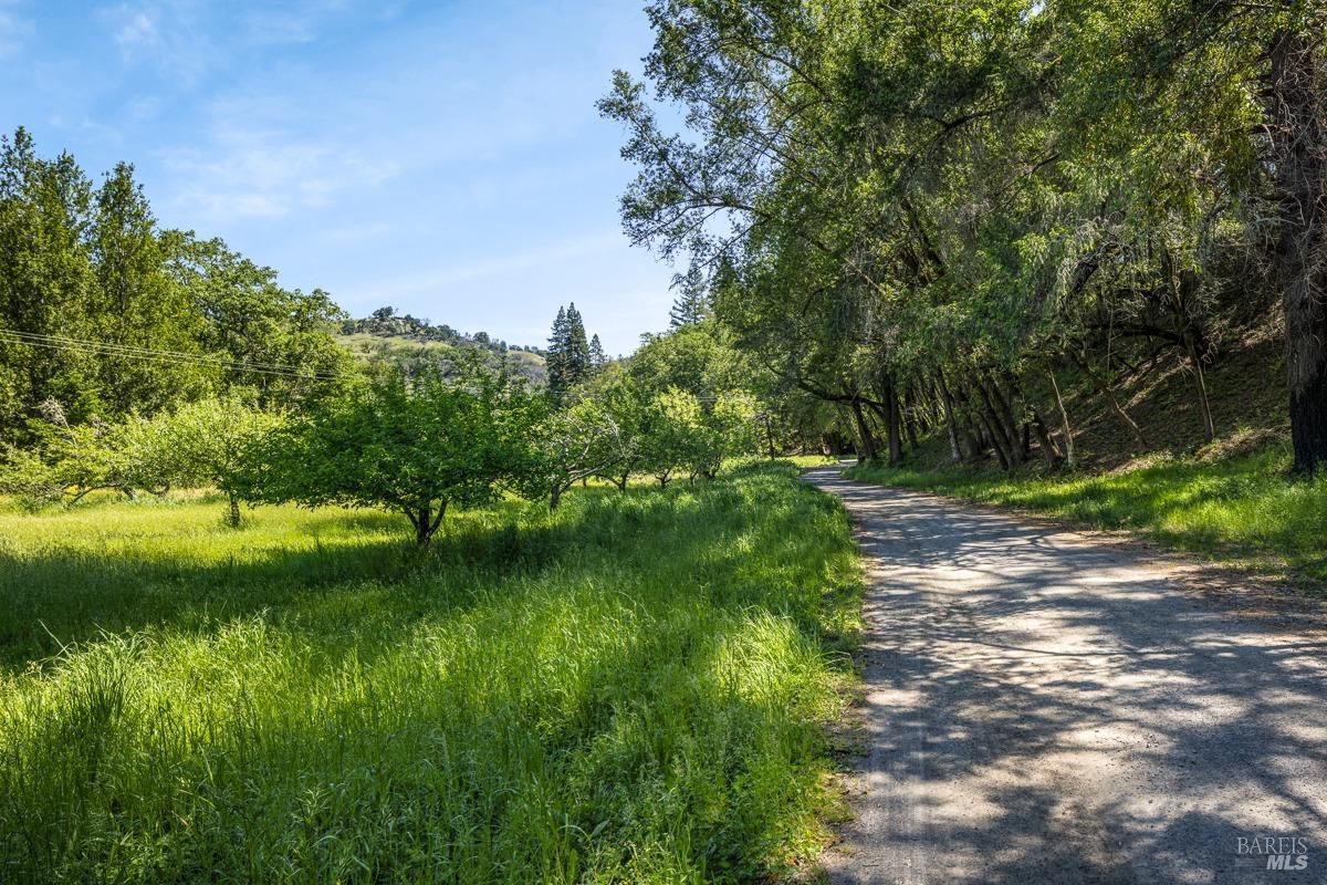 A shaded dirt road flanked by an orchard or rows of fruit trees. The area is serene, with soft sunlight filtering through the branches, suggesting a quiet, agricultural setting.