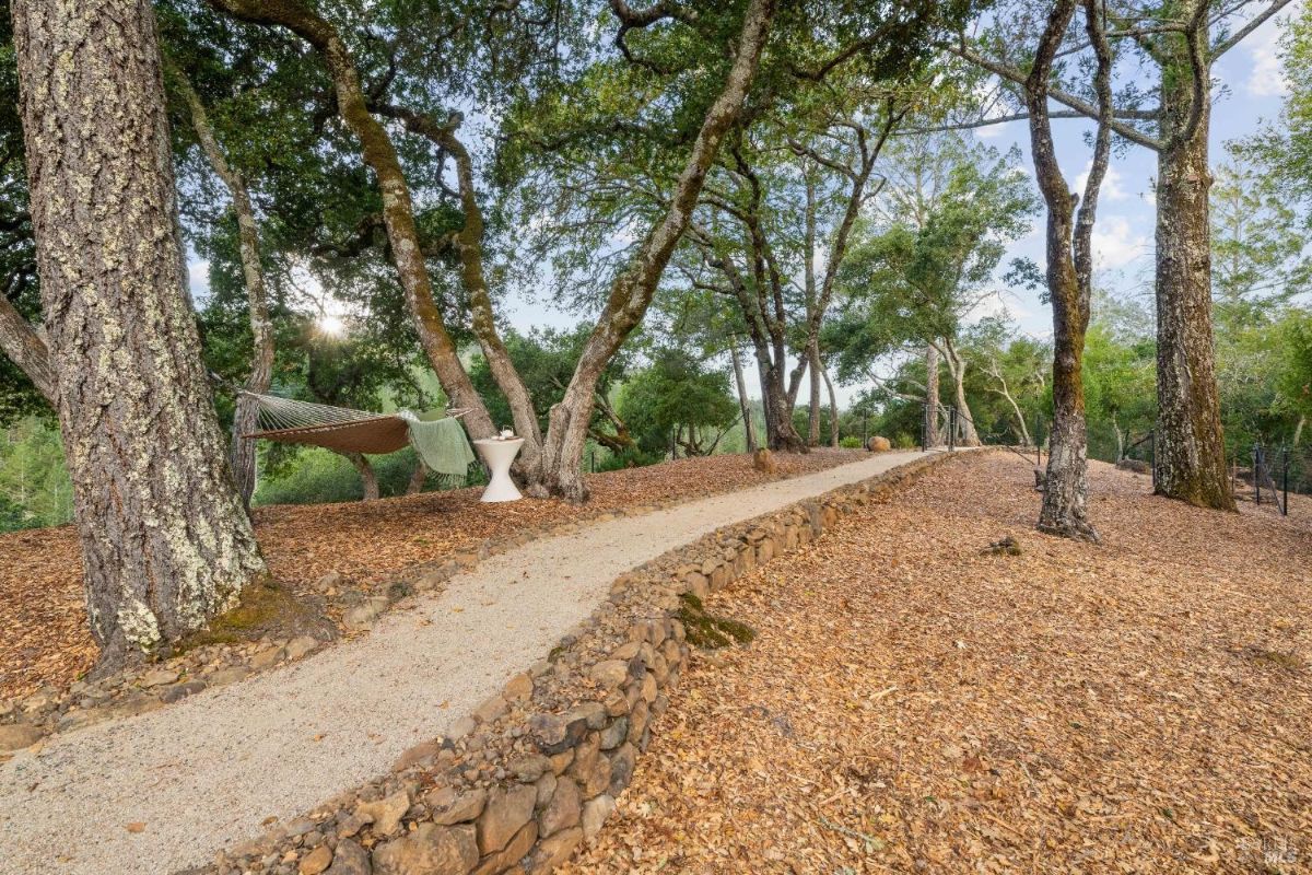 Pathway through a wooded area featuring a hammock and a small table surrounded by trees.