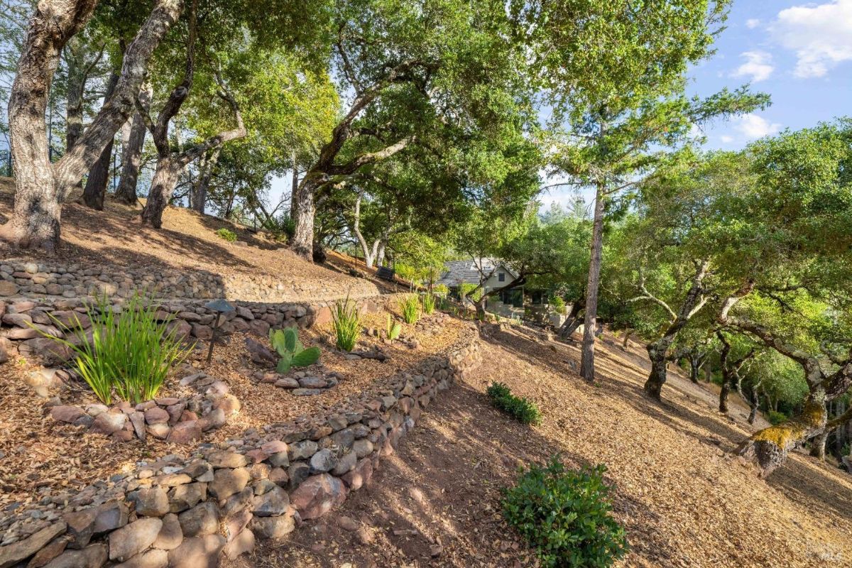 Hillside with stone retaining walls, planted shrubs, and mature trees.