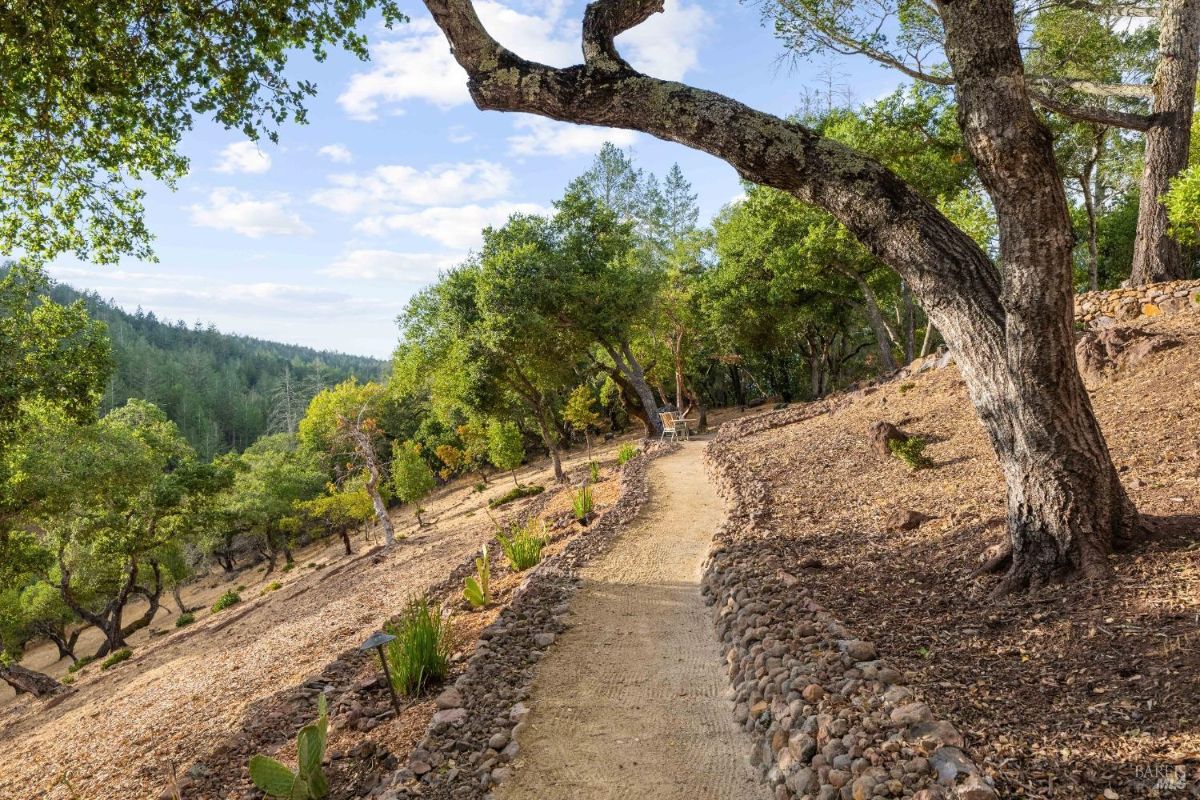 Gravel pathway winding through a wooded hillside with trees and shrubs.