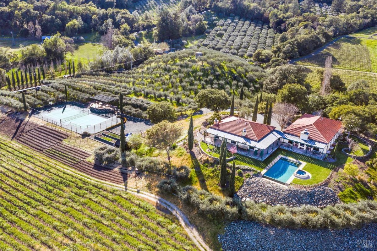 Elevated view highlights a house with red-tiled roofs, a pool, and lush surroundings in the vineyard.