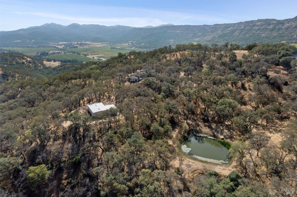 Elevated aerial view of a forested property with a visible pond and a building. Rolling hills and a valley are visible in the distance.