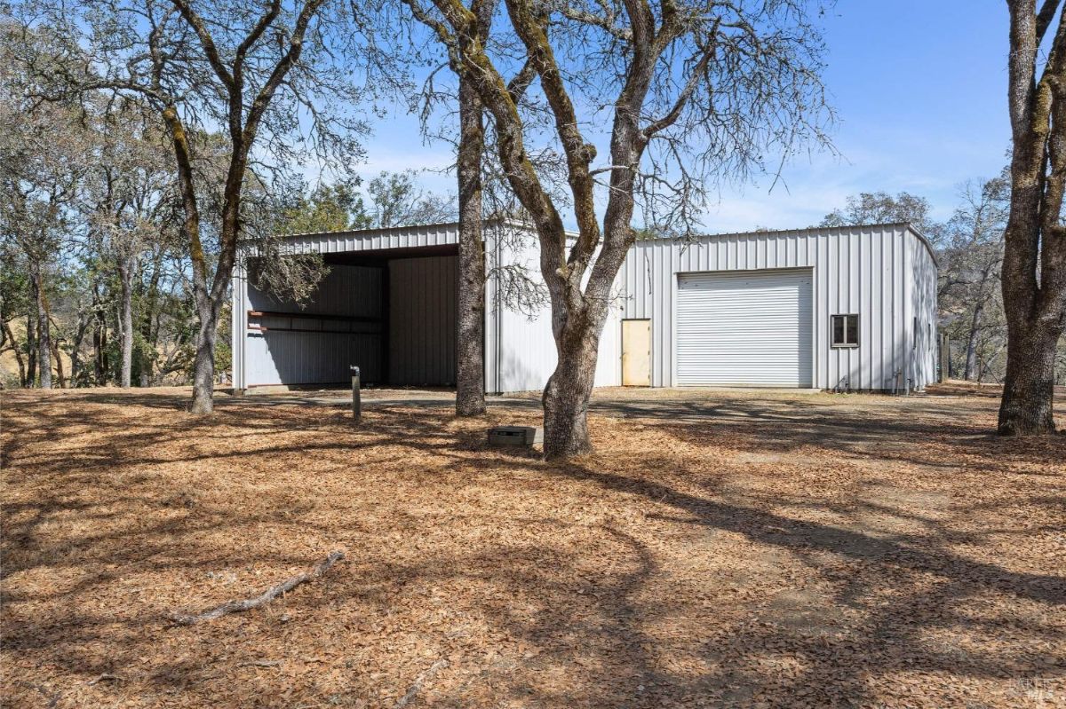 Large metal storage structure surrounded by trees and dry leaves. A smaller side door and a large roll-up door provide access. 