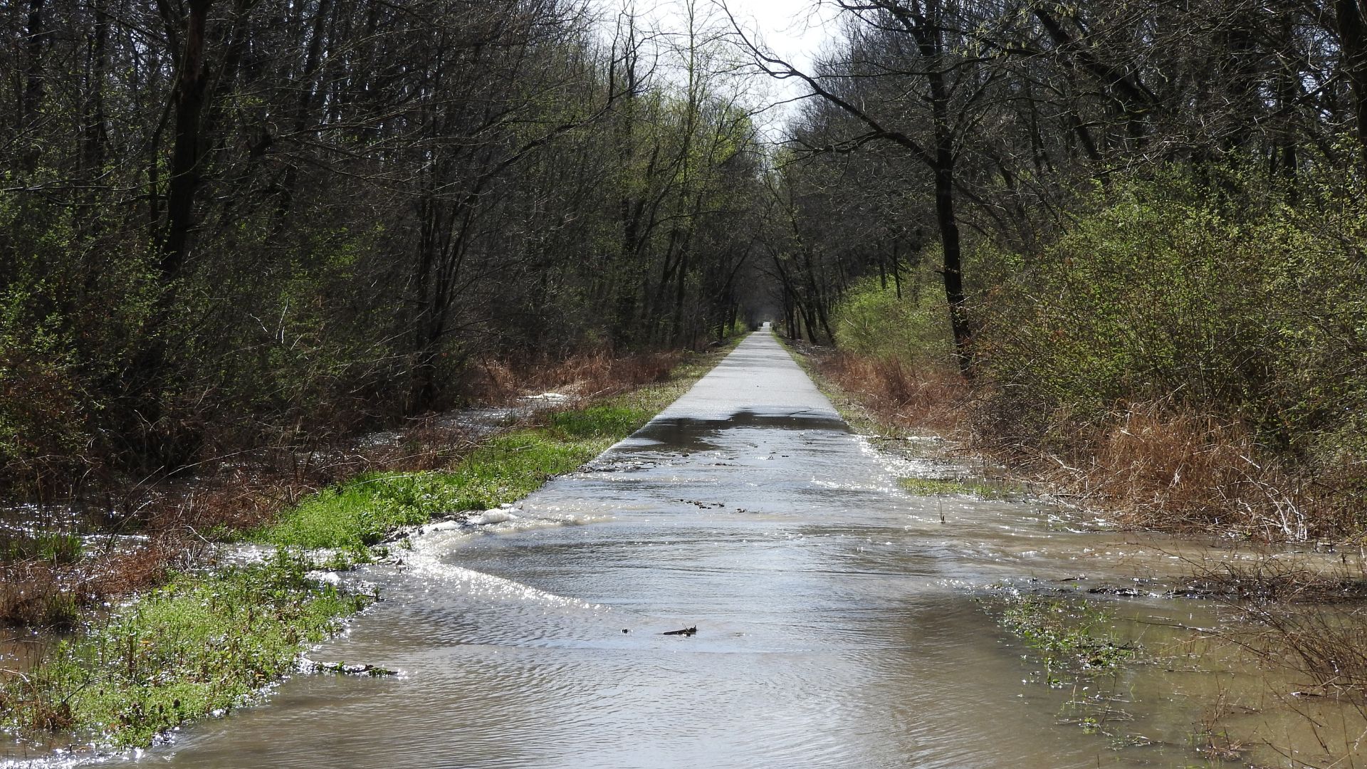 The 50 wettest counties in Indiana