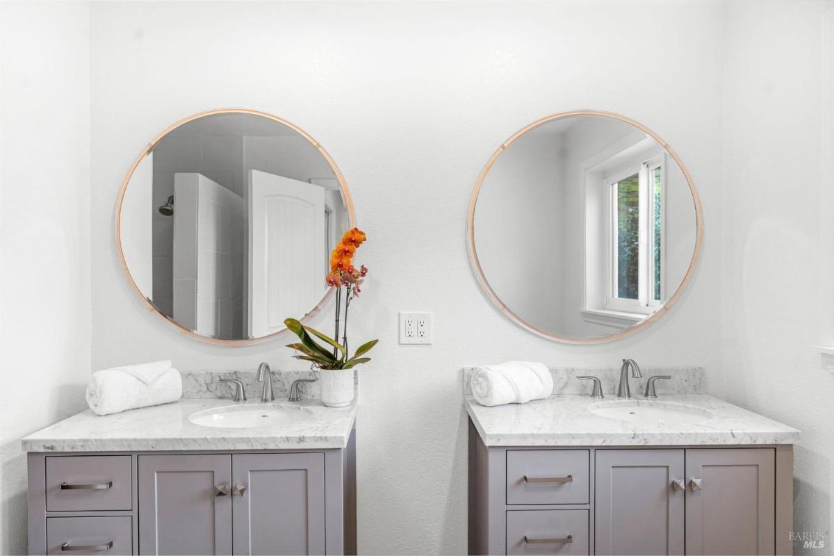 Bathroom with double vanities, round mirrors, and a decorative plant.