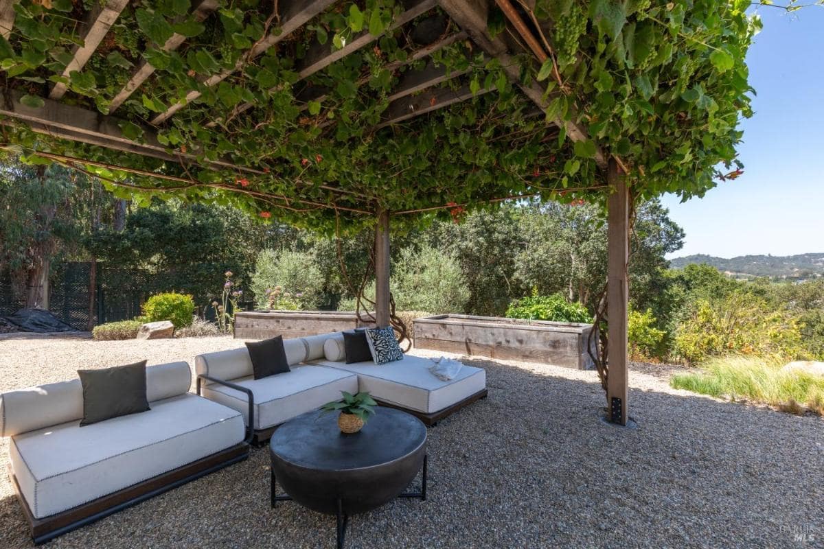 Lounge seating under a pergola with a grapevine canopy.