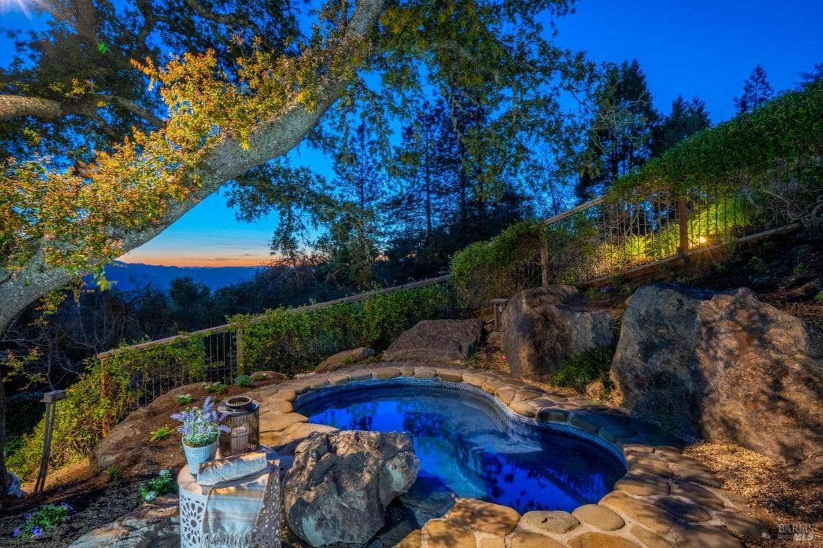 Small spa pool surrounded by rocks and trees.