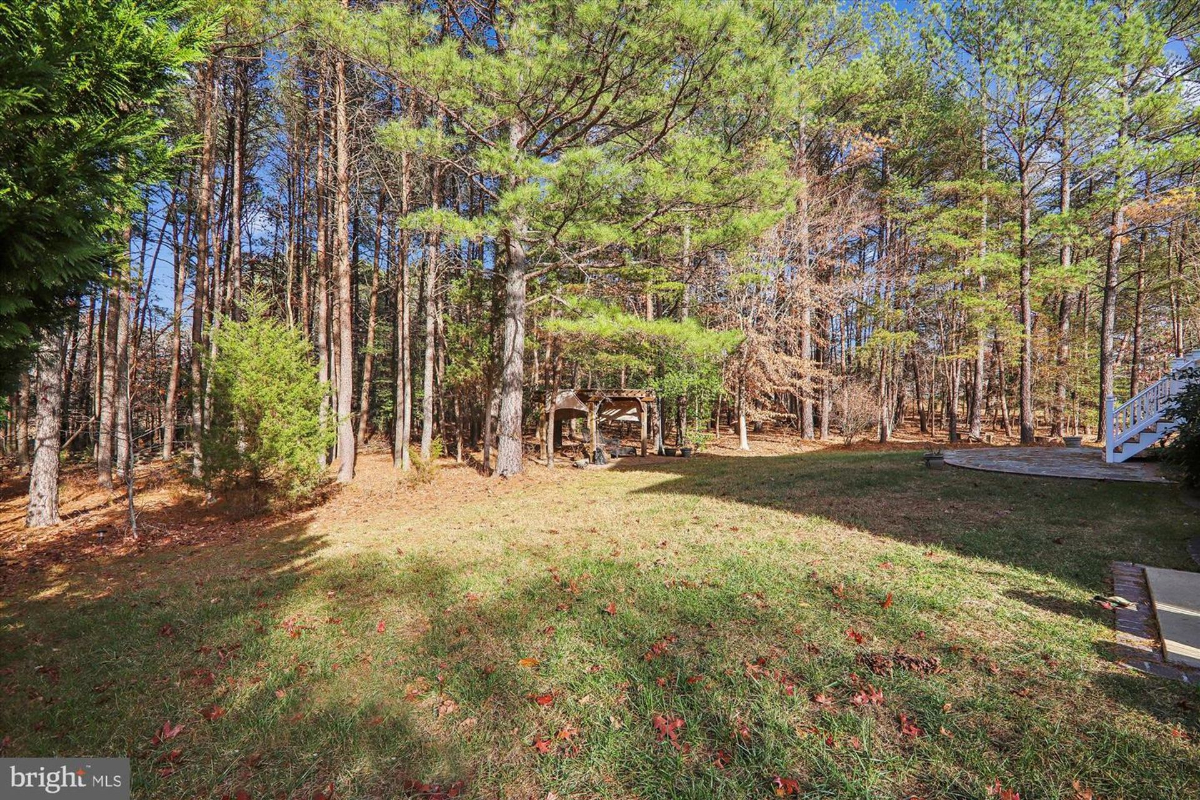 Backyard with a grassy area and a wooded area beyond. There is a pergola visible in the woods. Some leaves are on the ground.