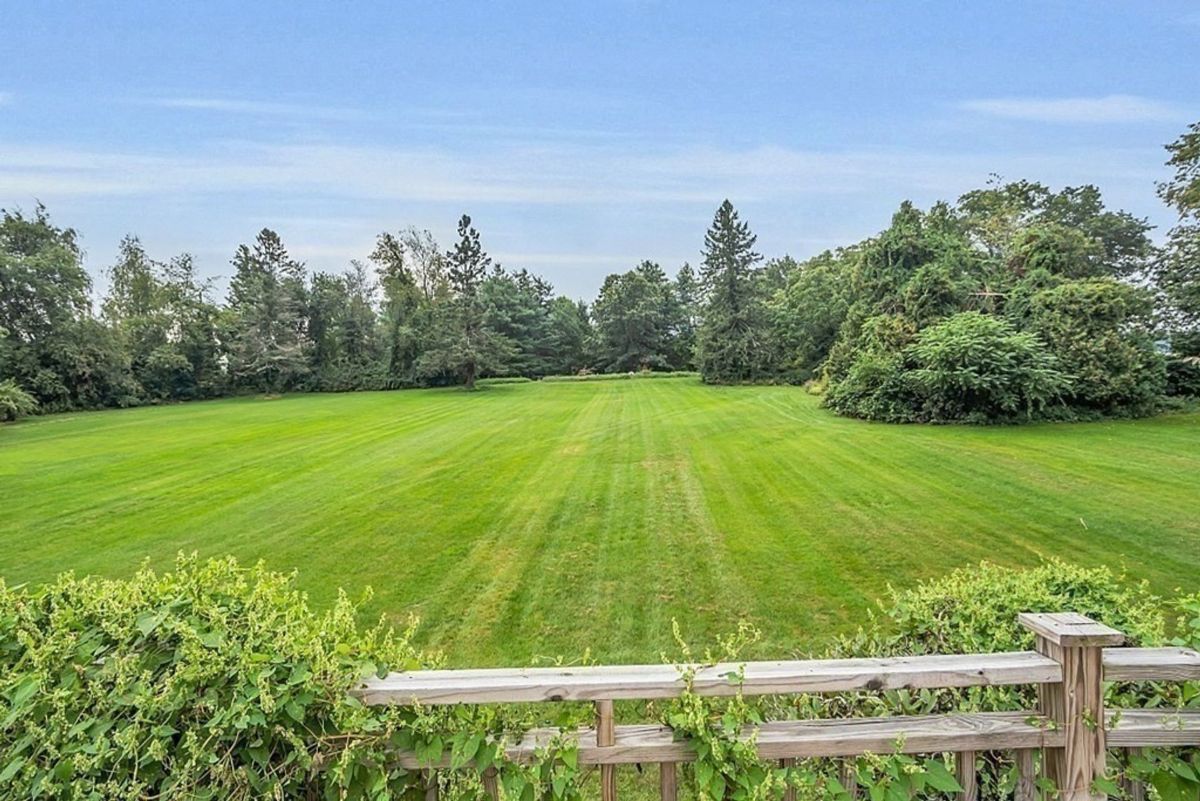 Scenic view of an open lawn with surrounding trees.