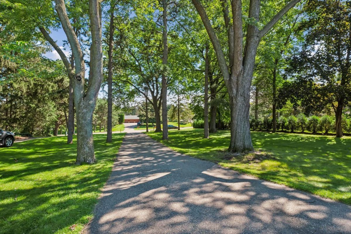 A tree-lined driveway leads to a serene property surrounded by lush greenery and open skies.