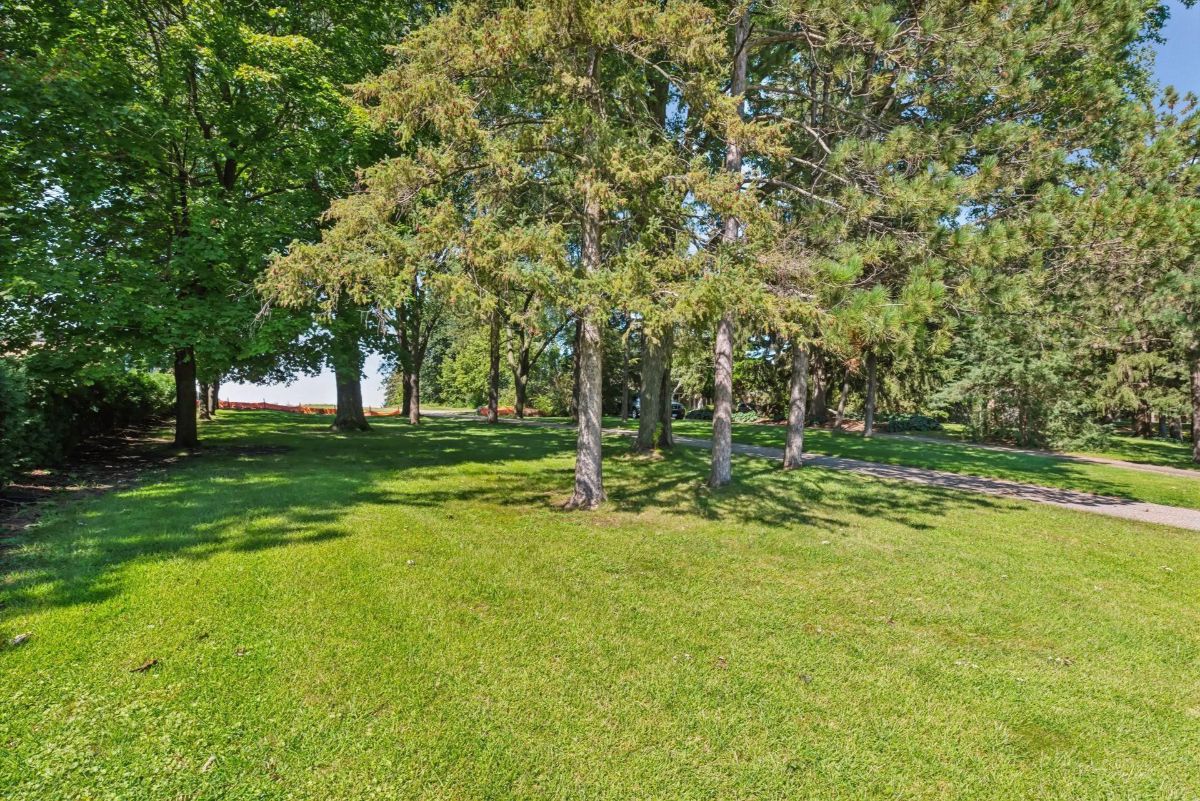 Lush greenery and tall trees create a serene outdoor space.