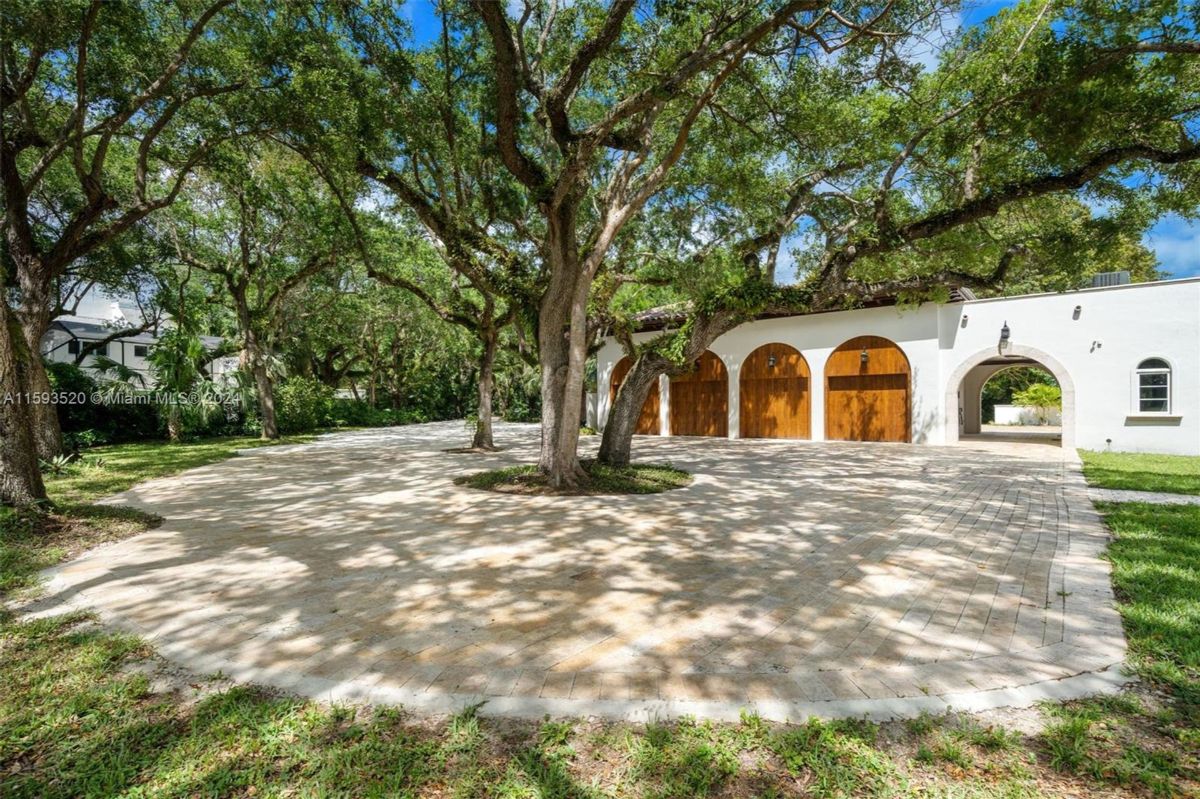 Paved driveway encircled by lush greenery and oak trees.