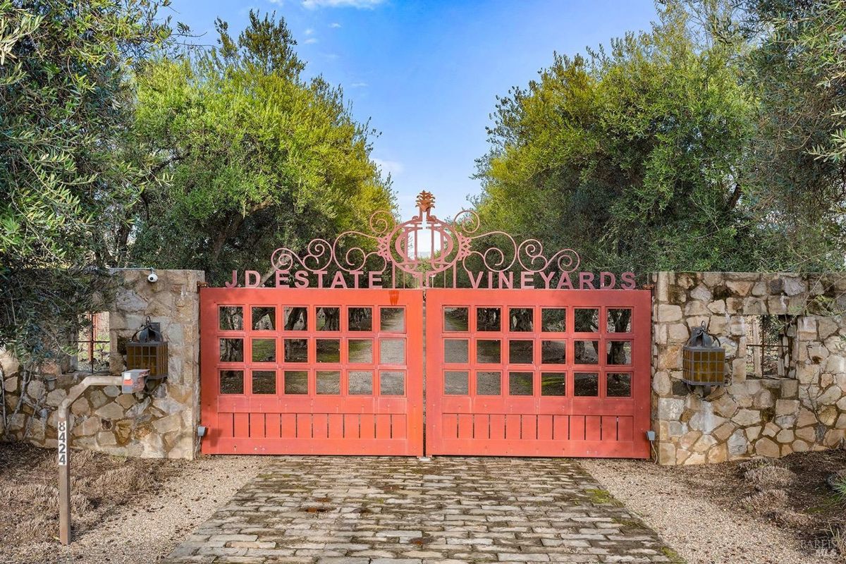 Elegant gates welcome you to JD Estate Vineyards, surrounded by lush olive trees.