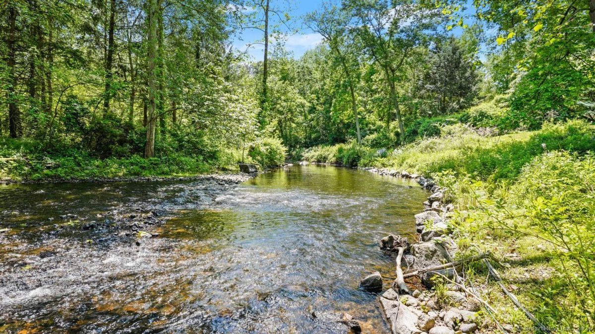 Picturesque river scene showcases a tranquil waterway flowing through a lush forest.