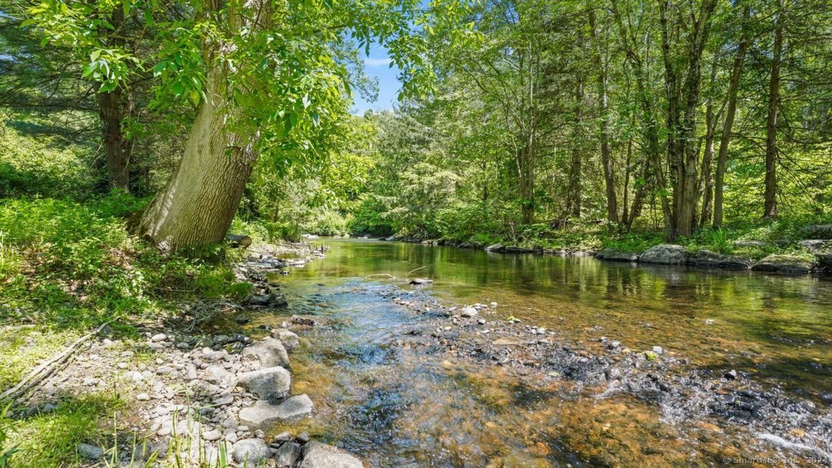 Serene river scene shows a calm stream flowing through a lush green forest.