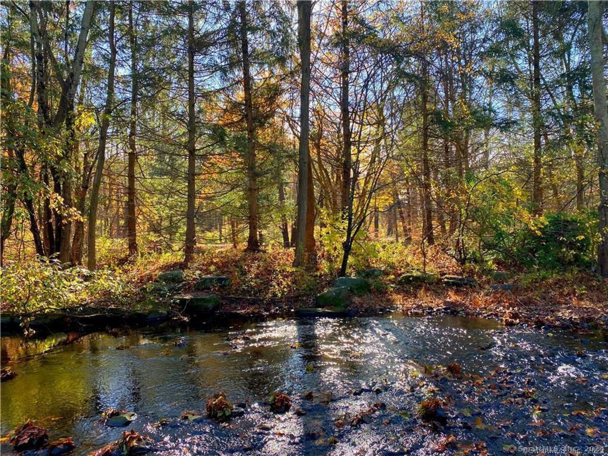 Autumnal creek scene shows a calm stream reflecting the colors of the surrounding forest.