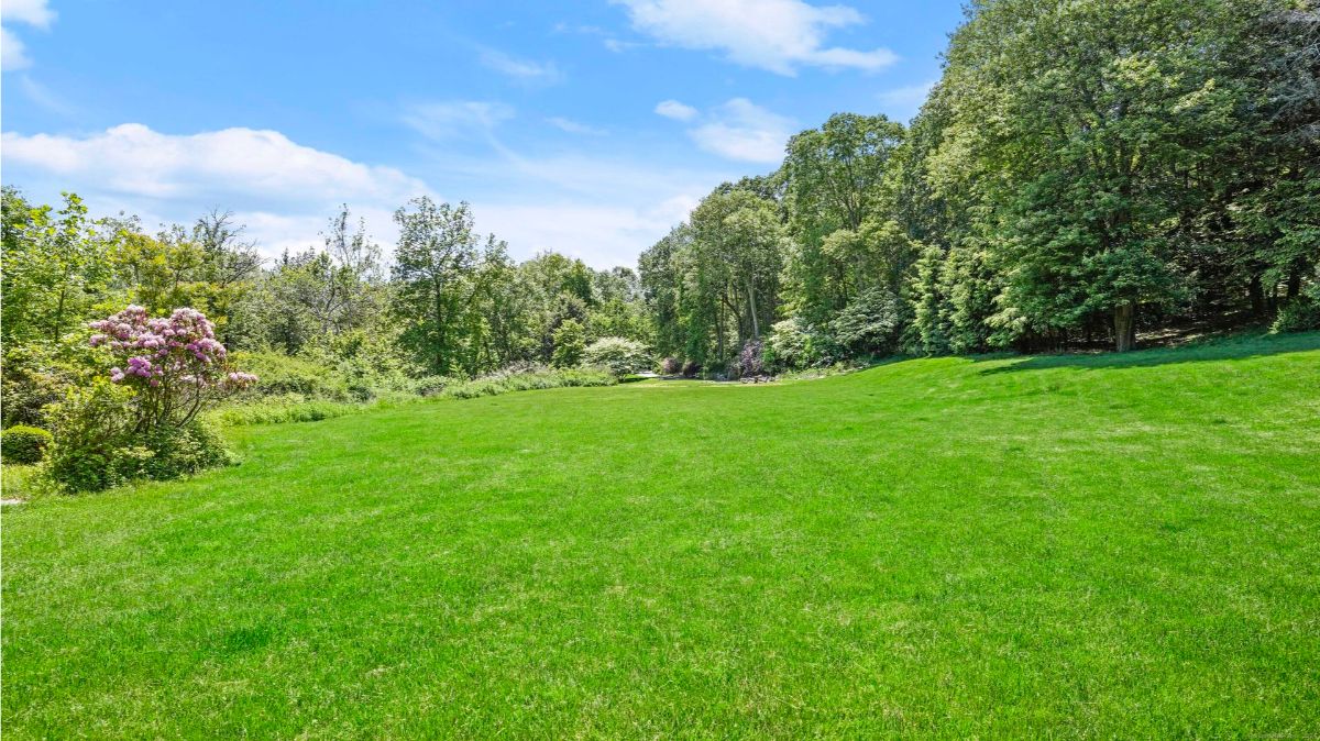 Open field scene shows a lush green lawn bordered by trees under a bright blue sky. Purple flowering bushes are visible in the foreground.