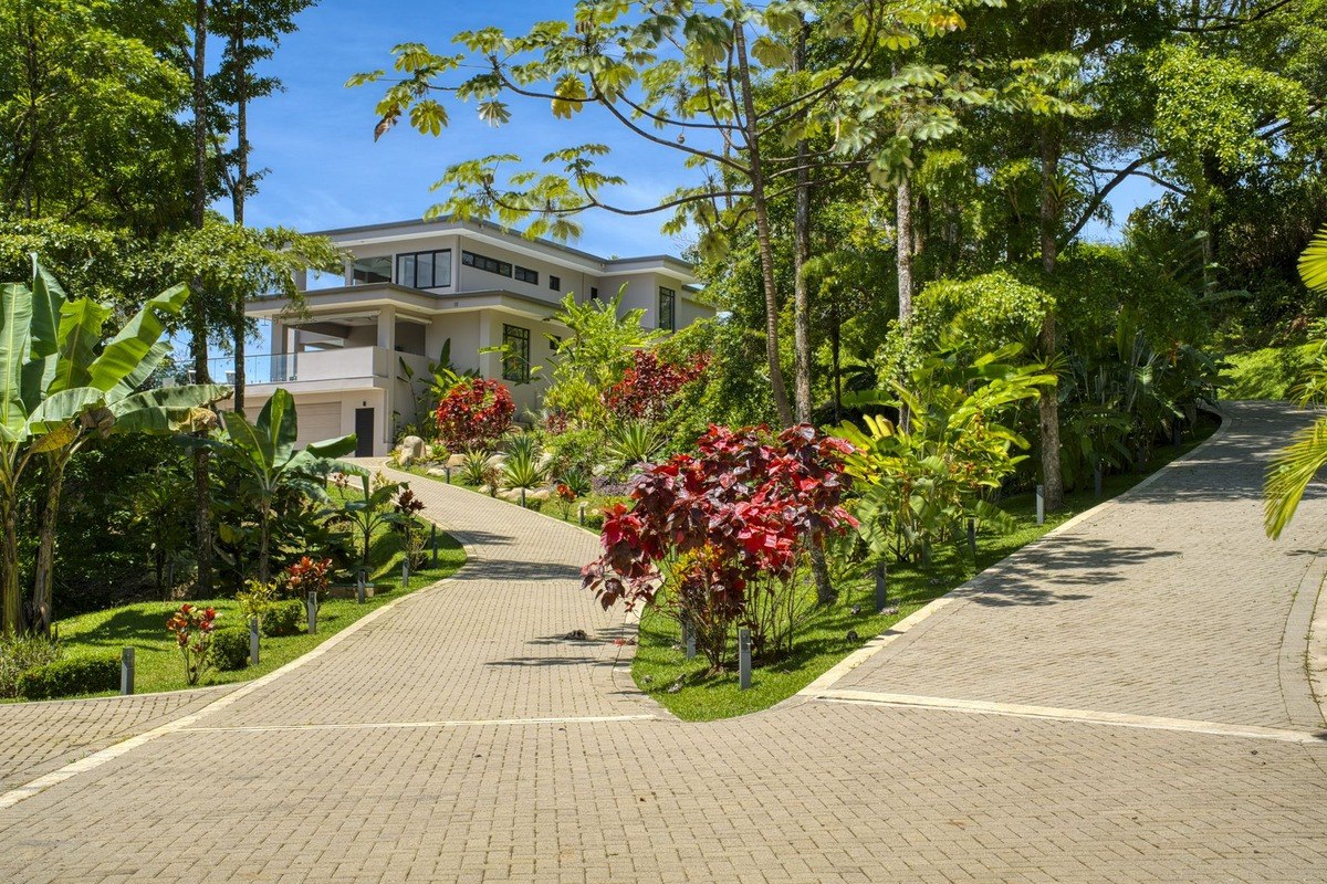 House long driveway and tropical landscaping.