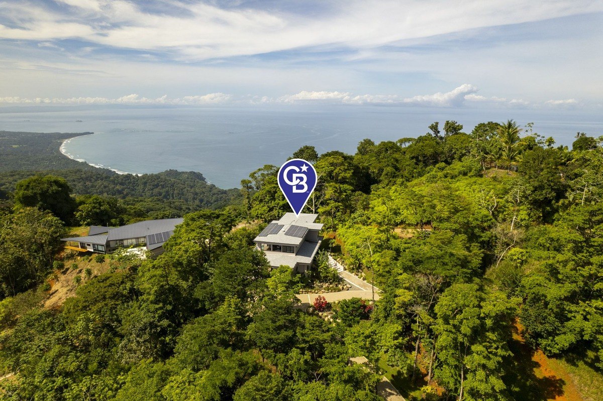 House is nestled in a lush forest overlooking the ocean.