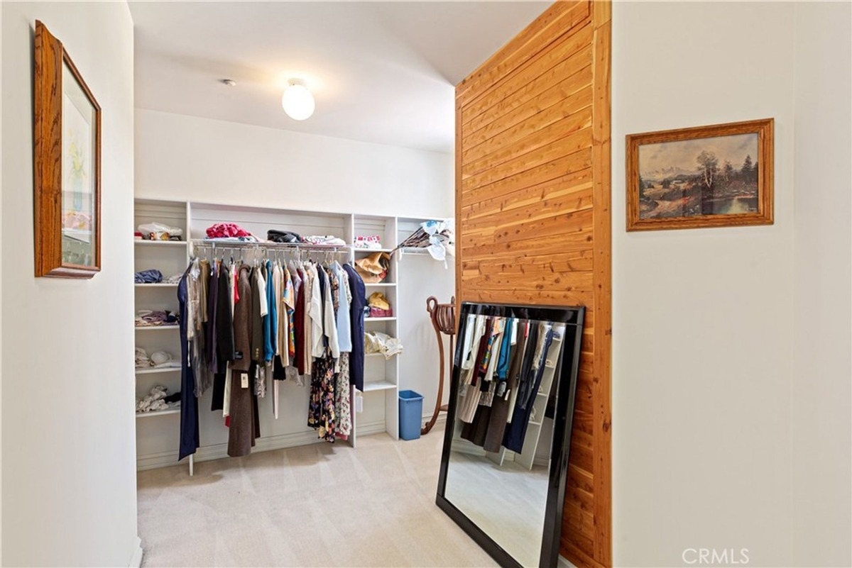 Additional closet features wooden paneling and a floor mirror.