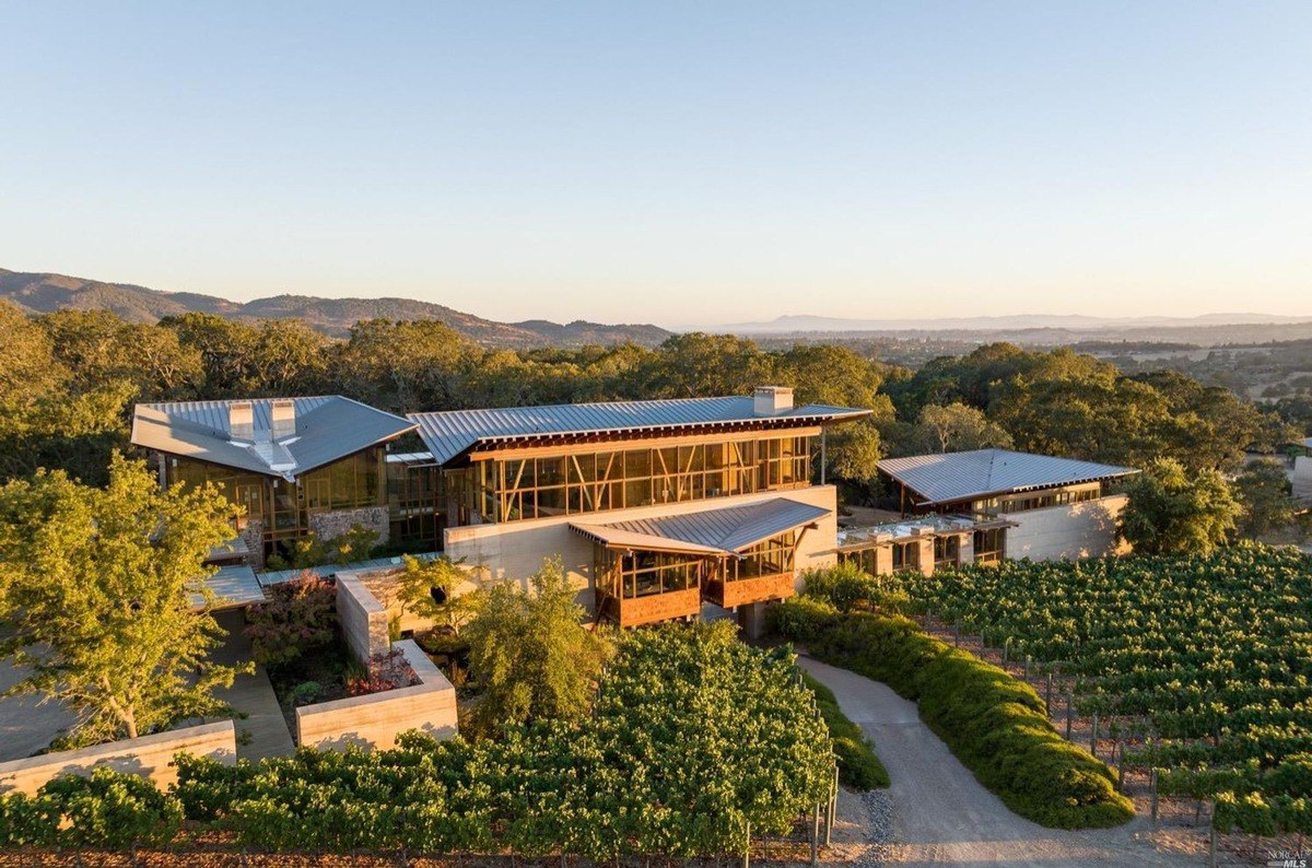 Modern architectural estate surrounded by lush vineyards and a scenic hillside backdrop.