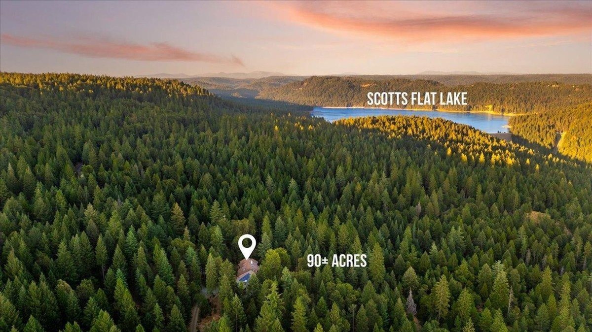 Expansive view of the house within a vast forest landscape, showing proximity to Scotts Flat Lake.