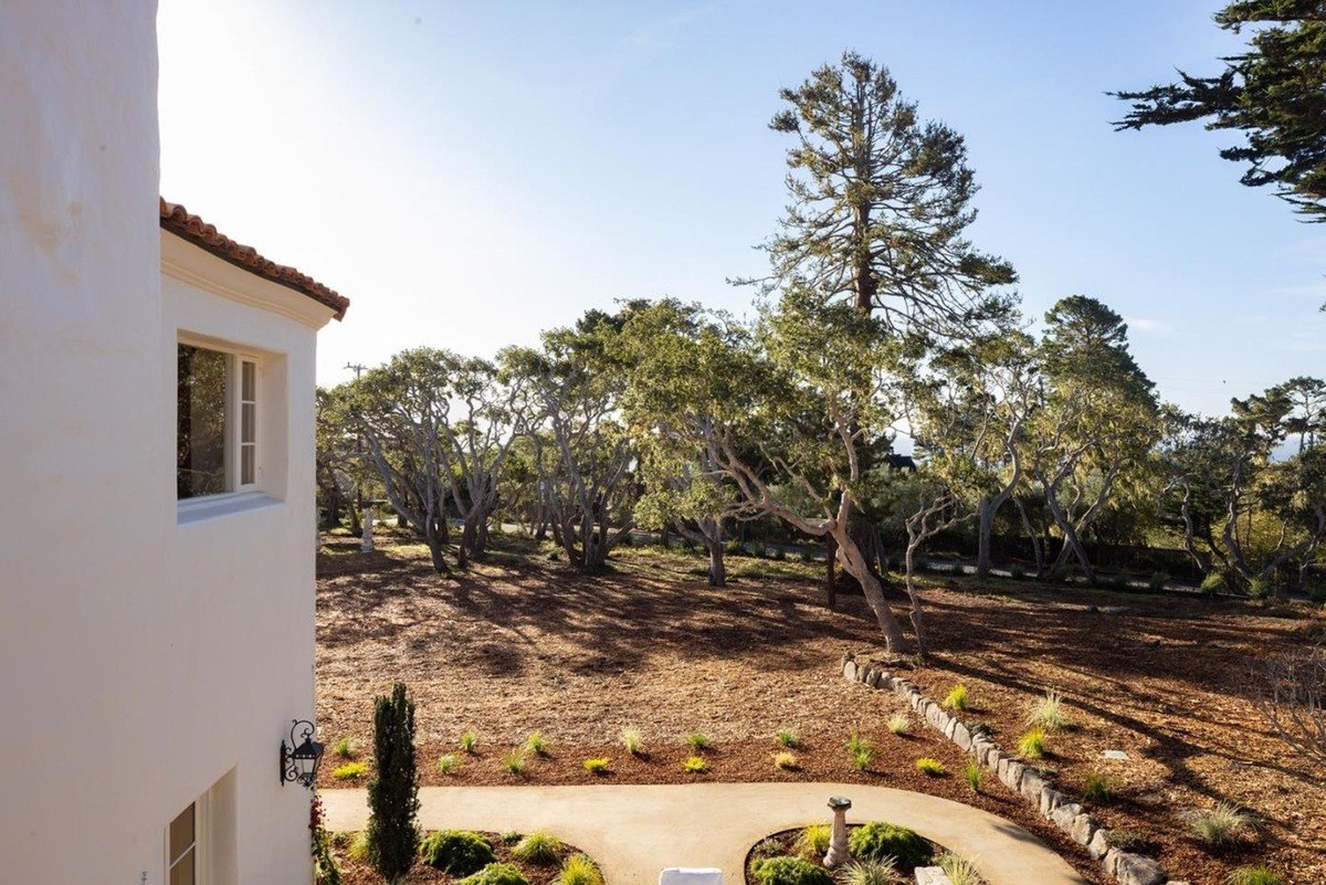 Pretty view of a garden with trees and a path, seen from the side of the house.