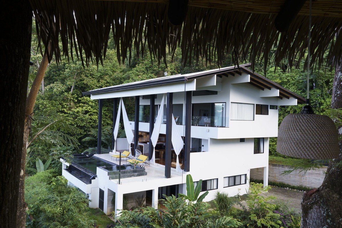 Modern house has infinity pool and is surrounded by lush greenery.