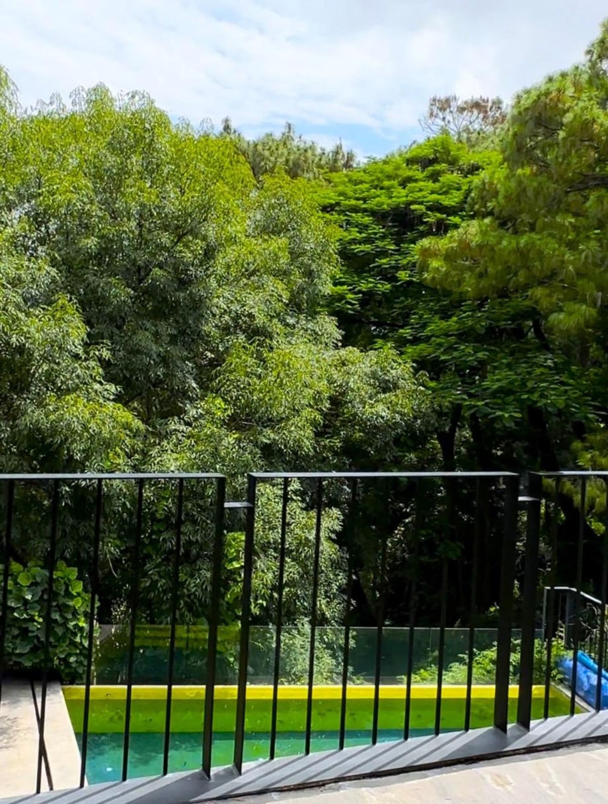 Elevated swimming pool surrounded by greenery and visible through a black railing.