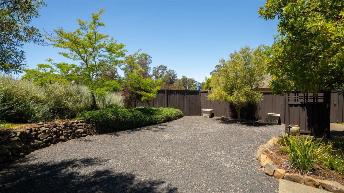 Open backyard space with gravel ground, bordered by trees and shrubs under a clear sky.