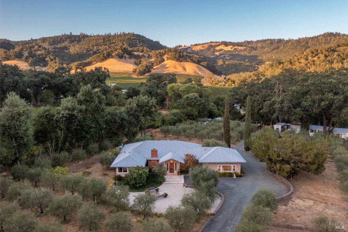 House surrounded by olive trees and hills in a rural setting.