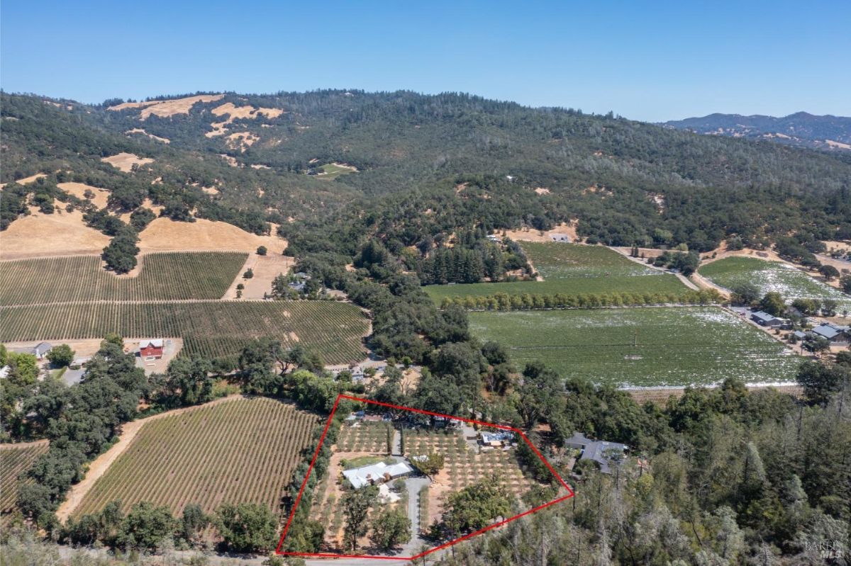 Aerial view shows property boundaries outlined in red, surrounded by vineyards and rolling hills.